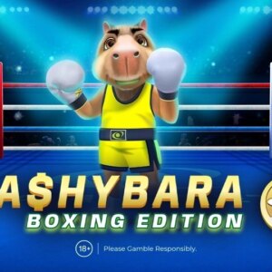 Cashybara Boxing Edition Amusnet